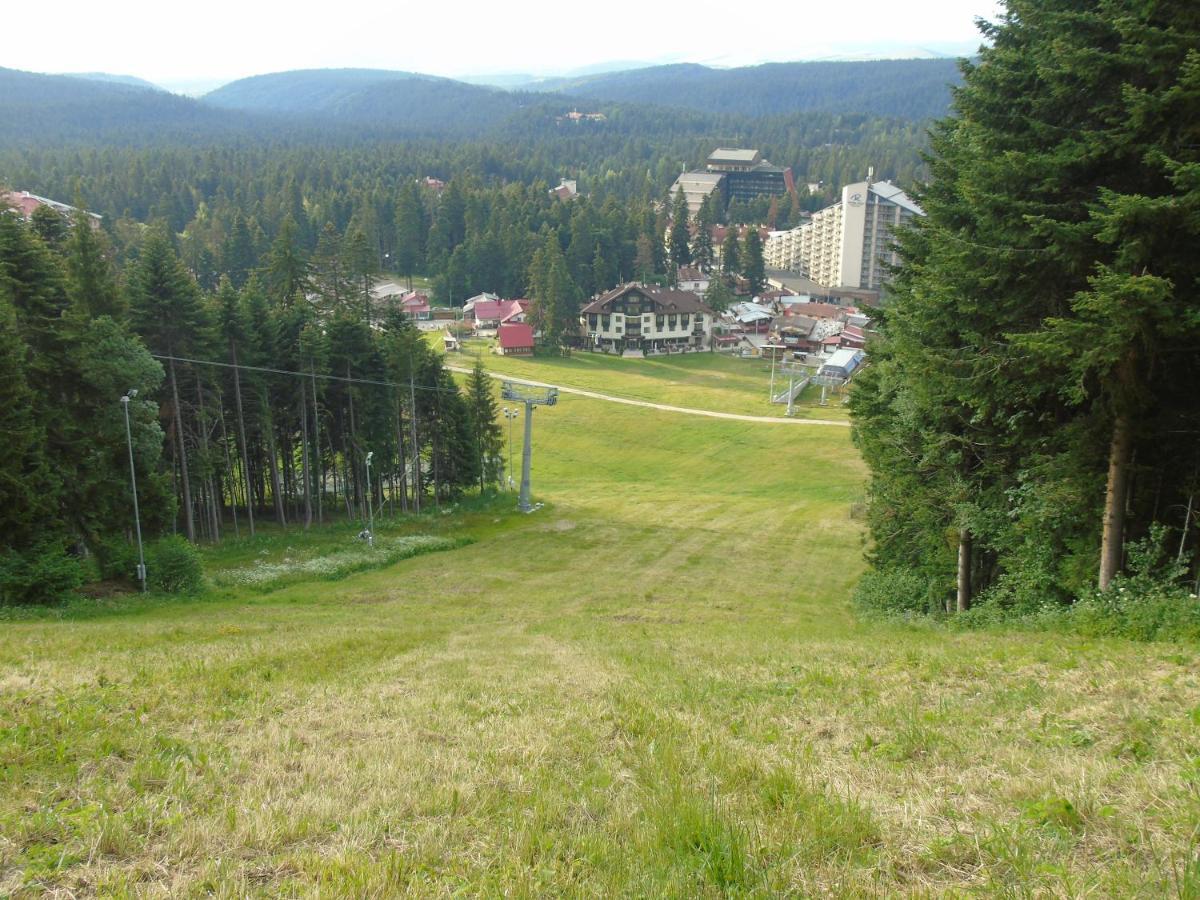 Хотел Флора Private Studio All Seasons Lägenhet Borovets Exteriör bild