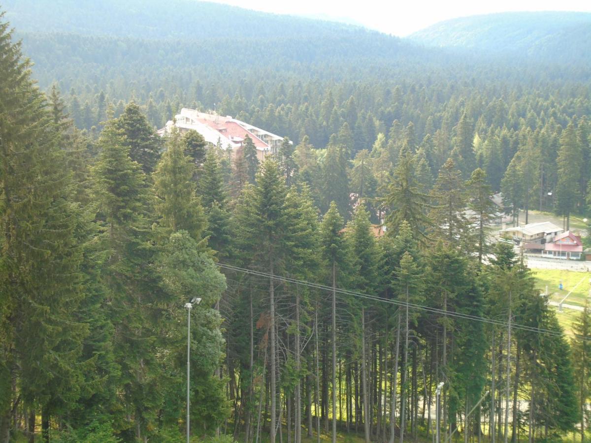 Хотел Флора Private Studio All Seasons Borovets Exteriör bild