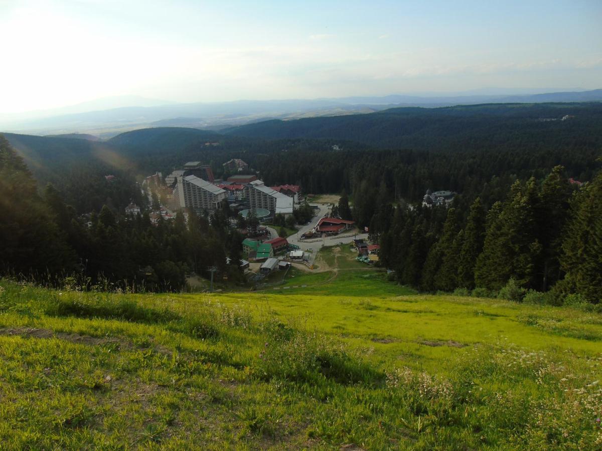 Хотел Флора Private Studio All Seasons Borovets Exteriör bild